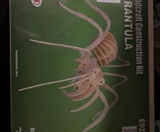 Woodcraft tarantula