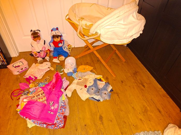 2 Reborn Baby Dolls+Moses basket+over 50 pieces of clothing and accessories, excellent condition