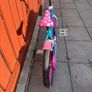 Polly Image 2