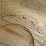 Turned Wooden Bowl Image 6