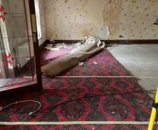 Carpet