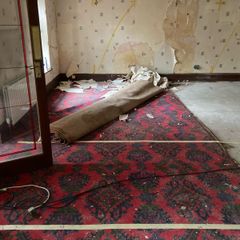 Carpet