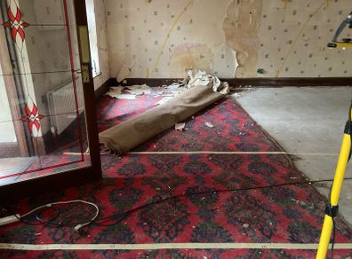 Carpet