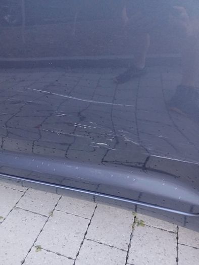 2009 Toyota Avensis
