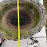 Concrete Plant Pots Image 6