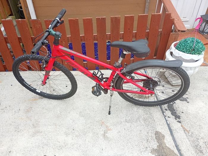 Giant Arx 24 Inch
