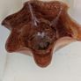 Decorative Bowl Image 2