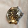 Vostok Amphibia Image 6