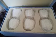 Newbridge napkin rings