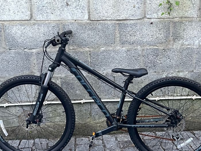 Carrera vengeance mountain bike