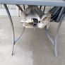 Garden table for free and parasol all together Image 2