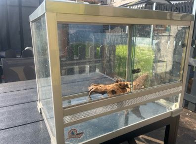 Glass Vivarium