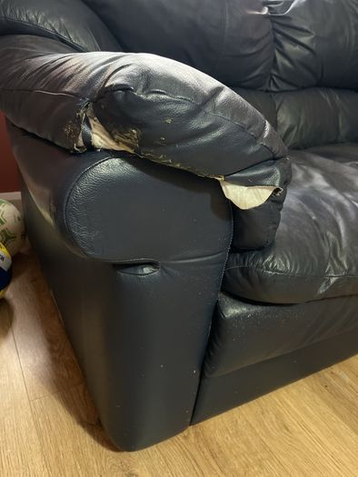 free to take genuine leather couch
