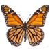 Mariposa2013