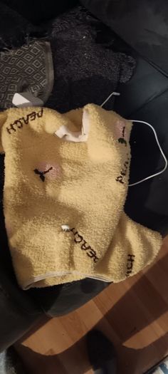 dog clothes