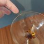 Lovely Set of Three Vintage Mid-Century Hand Blown Liqueur Glasses with Hand Blown Amber Rope Twist Stems - Priced as a Pair, as the Third Glass has a Tiny Chip Image 8