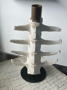 1 Bone Spooky Witch Halloween candle stick holders decoration