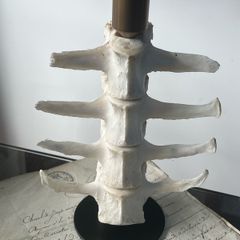 1 Bone Spooky Witch Halloween candle stick holders decoration