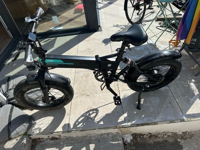 Fiido M1 Pro Electric Bike