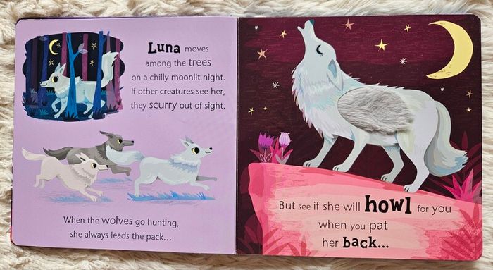Owl Says Hoot - A Noisy Touch-and-Feel Night Book
