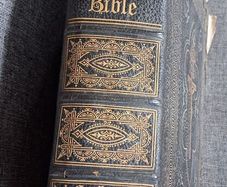 Douay Bible Illustrated / James Duffy ,Dublin,ca 1860
