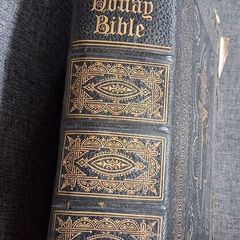 Douay Bible Illustrated / James Duffy ,Dublin,ca 1860