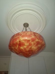 Beautiful Flycatcher light shade