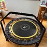 Rebounder Trampoline Image 2