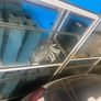 fish racks Image 5