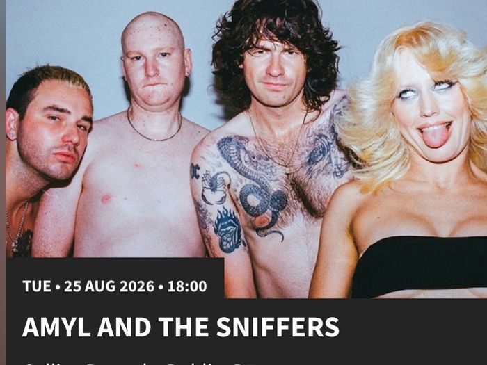 Amyl & The Sniffers