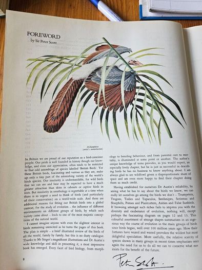 Birds Of The World. By Oliver L. Austin Jr. Illustrated By Arthur Singer. Forwarded By Sir Peter Scott. 1968 Large Volume Hardback With Dustjacket In Good Condition.