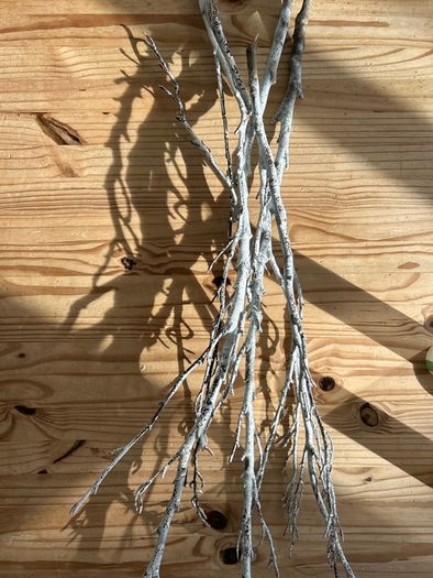 Halloween Decorations | Twigs