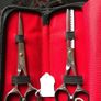 Scissors set Image 2