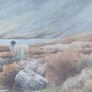 Large Hamilton Sloan Watercolour Image 5