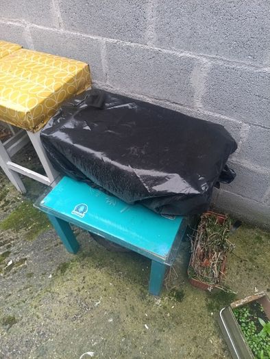 bbq