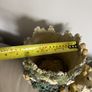 pot Image 5