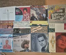 Vinyl Albums  10 euros each
