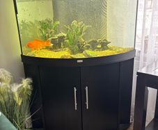juwel fish tank