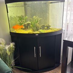 juwel fish tank
