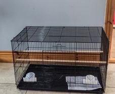 Quail cage