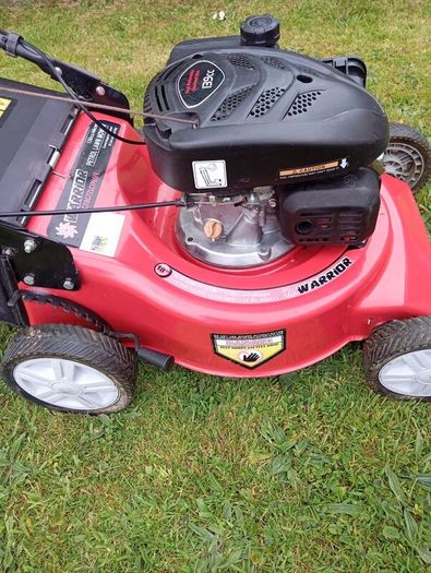 warrior petrol lawnmower