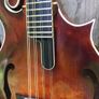 Vanden Mandolin Image 3
