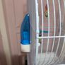 Bird Cage Image 6
