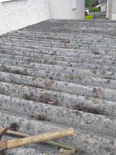 Asbestos Removal & Disposal Services