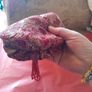 Vintage Clutch ladies handbag Image 2