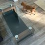 Walnut and Glass Coffee Table with Chrome Posts Image 2
