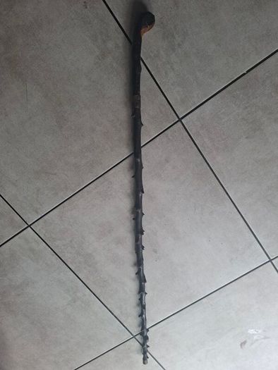 Antique Traditional Irish Blackthorn walking stick