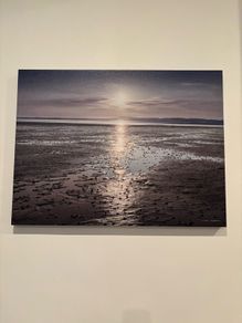 Bundle of Canvas Prints