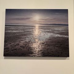 Bundle of Canvas Prints