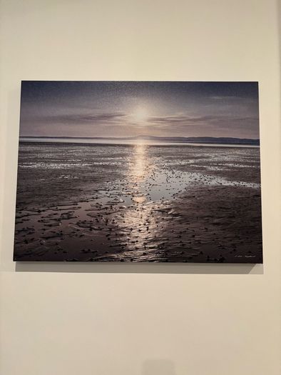 Bundle of Canvas Prints